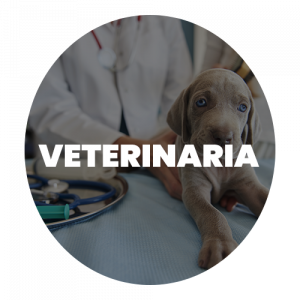 IMAGEN CATEGORIA VETERINARIA